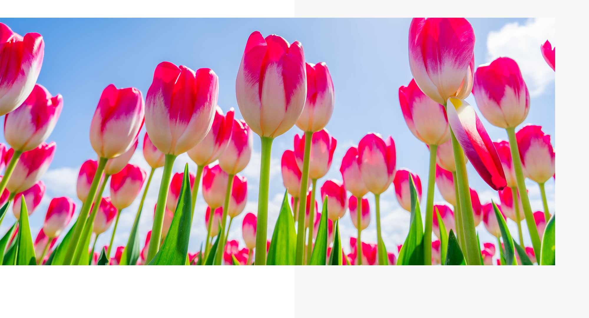 労務課題を解決。企業経営をサポートします