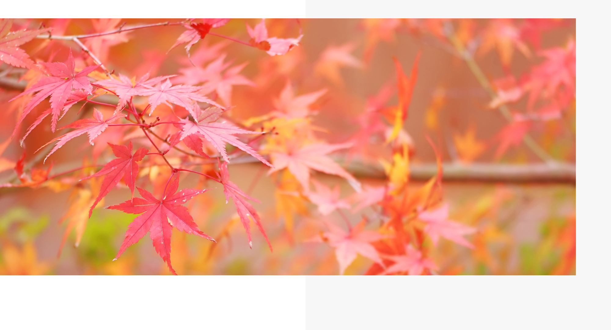 労務課題を解決。企業経営をサポートします