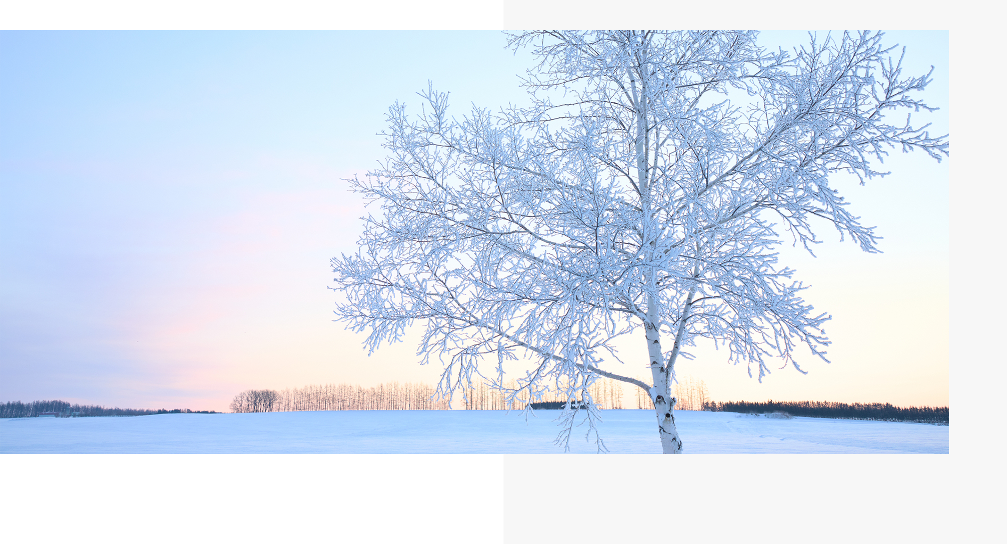 労務課題を解決。企業経営をサポートします